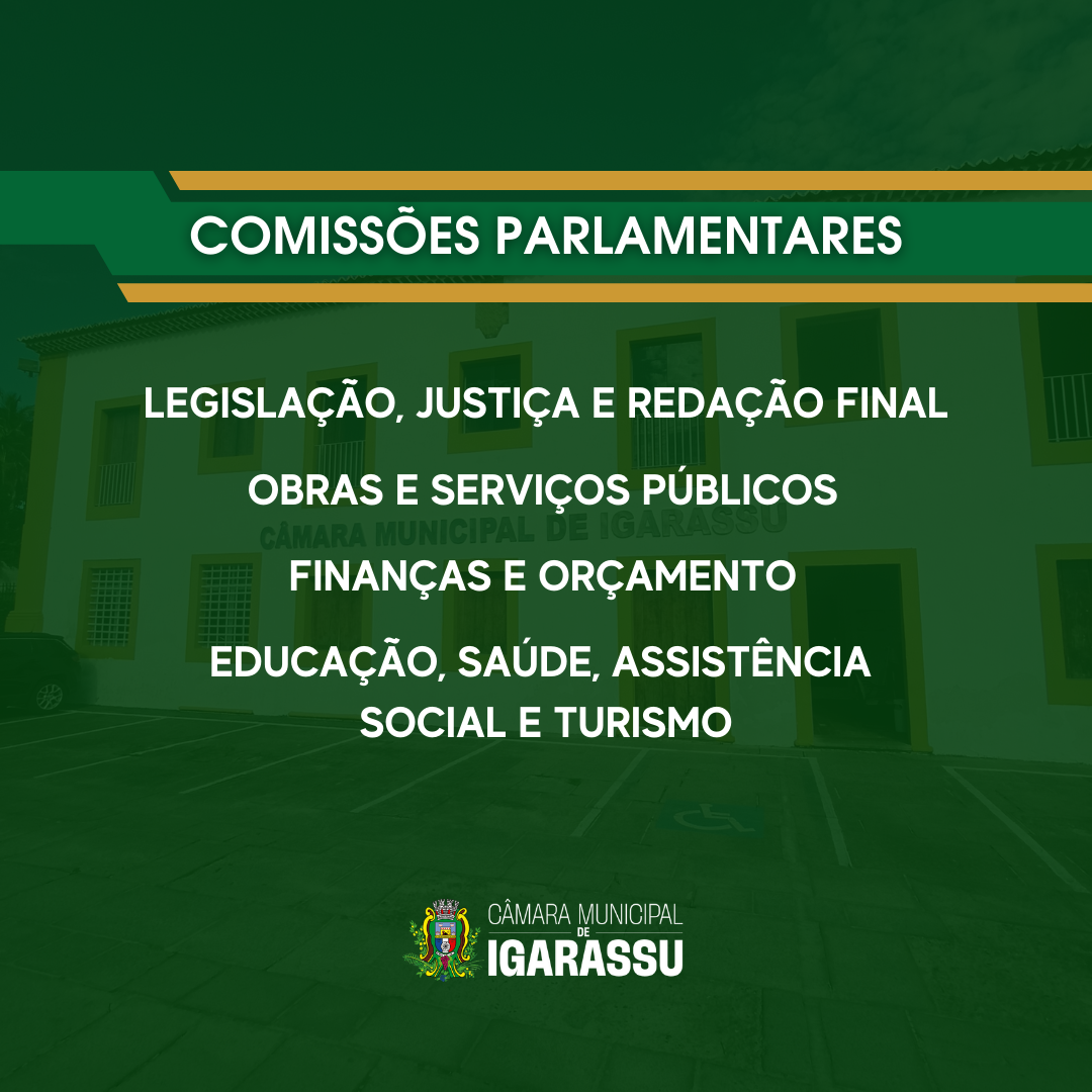 COMISSÕES PARLAMENTARES 2025