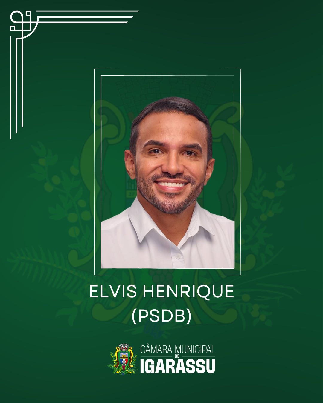 ELVIS HENRIQUE