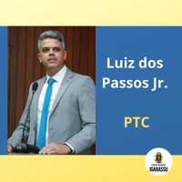 Luiz dos Passos Júnior